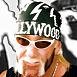 Hulk Hogan Holliwood