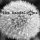 The_DandeliOns